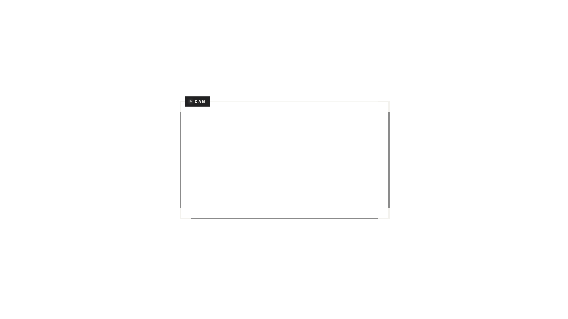 Facecam Frame preview